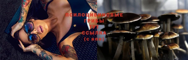 молекула духа Абинск