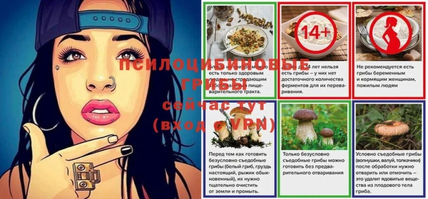 молекула духа Абинск
